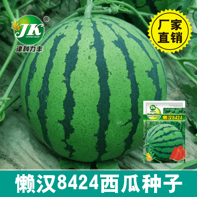 Source Manufacturer Wholesale Lazy Man 8424 Watermelon Seeds Early Maturing Unicorn Melon Fruit Seeds Early Maturing Larvae Seeds