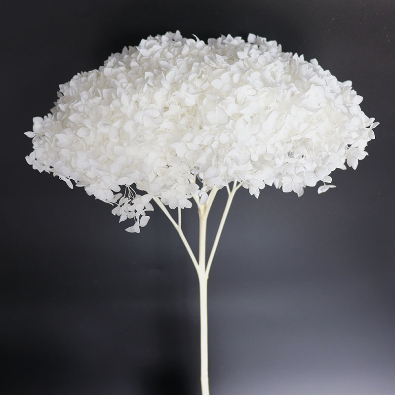 Yunnan factory wholesale export immortal Anna hydrangea cross-border best selling home shooting diy material package flower material