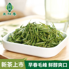 2025�ꃞ�x�²���ǰ��ɽ��Fë��G�� ��ˬ�ظ� ���~һ�����l