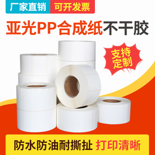 PP�ϳɼ������z�˺����l�a��60*40 30 50 70 80 90 100��ˮ˺����