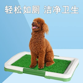 学习桌椅;狗狗清洁;午睡枕