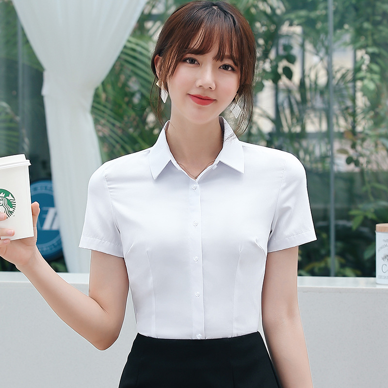 화이트 스퀘어 칼라