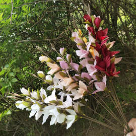 厂家批发单只蝴蝶剑兰绢花 婚庆装饰假花 家居装饰复古田园仿真花