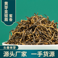 头春新茶福建武夷山红茶黄芽金骏眉茶叶散装花蜜香金俊眉罐装批发