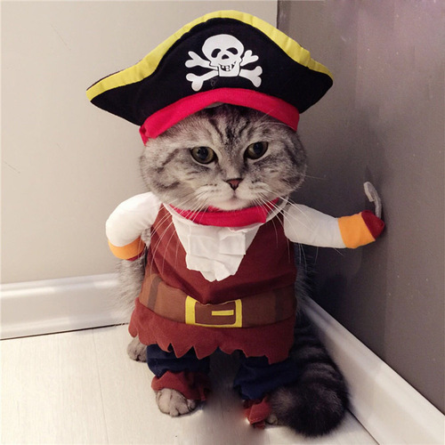 Funny dog ​​clothes, cat, funny Bichon Frize puppies, small dogs, Teddy pirate costumes, pet clothes
