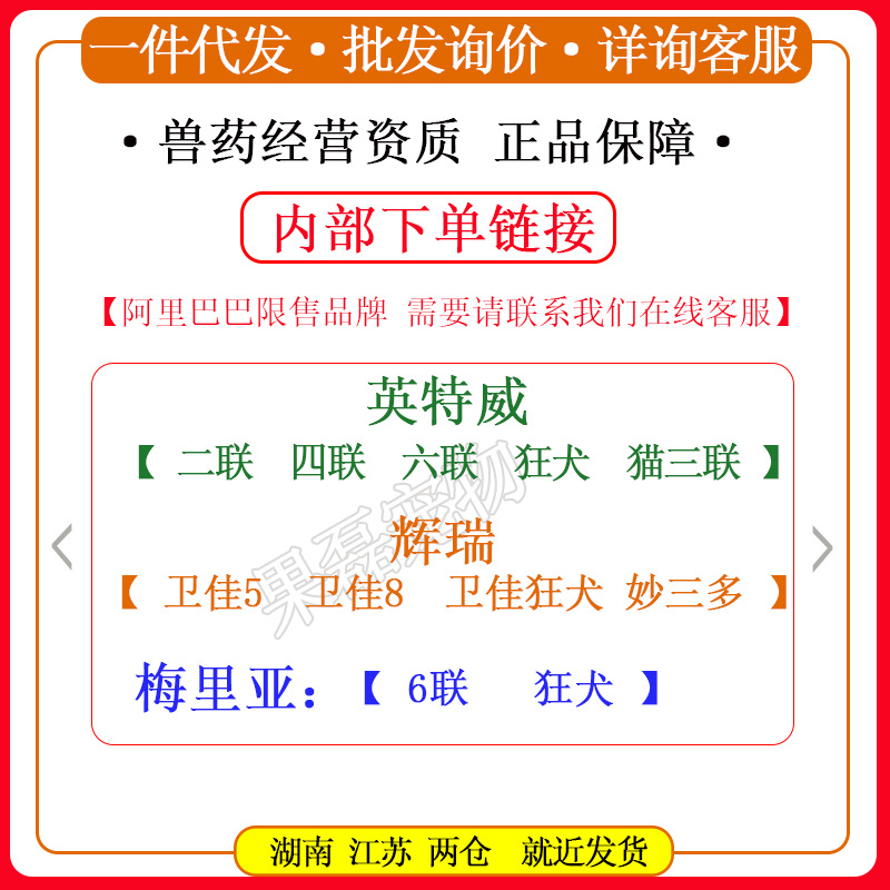 辉瑞妙三多狂犬卫佳五卫佳捌英特威宠必威二联四联梅里亚 狂 / 犬