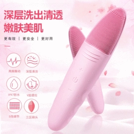 毛孔清洁器/黑头仪;电子美容仪;洁面仪