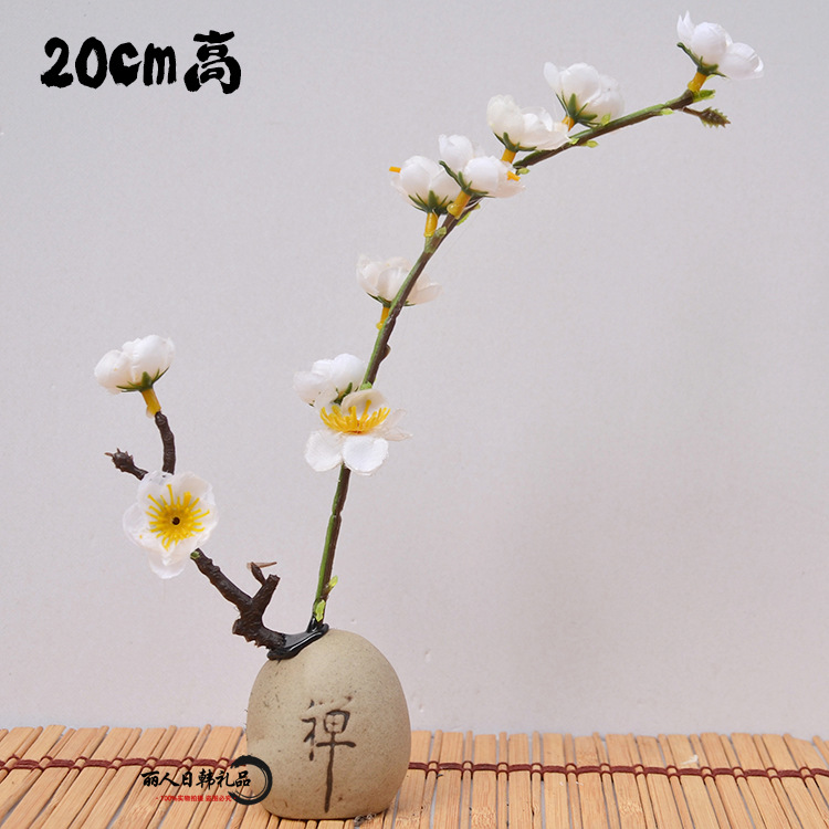 선 단어 매화 꽃 화이트