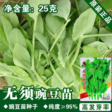 㶹N㶹N߲˷Nl˷NѲ˷Nӹ˾