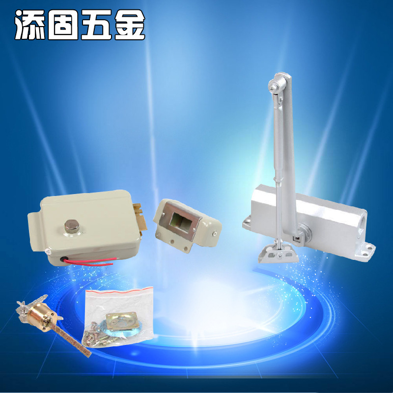 厂家直销 喷粉电控锁 产品配套电子锁 门禁密码刷卡锁 一件代发