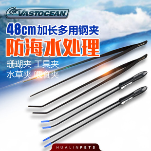 VASTOCEAN ̼�w�S49cm�A�� ����̼�w�S ���P�A�� ɺ����� ɺ���A
