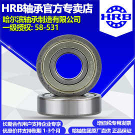 HRB哈尔滨轴承6304-2Z ZZ 2RS 2RZ开式及封闭轴承杭州公司直营