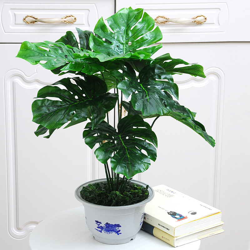 12-tenedor tortuga trasera impresión lavabo blanco