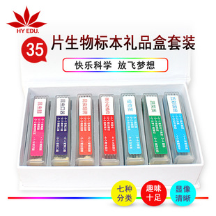 Red Leaf Teana Microscope Specimen Color Label 7 Classification Biological Slices 35 Pieces Gift Box Set