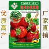 Fruit strawberry four seasons, plant lamp for gazebo, wholesale