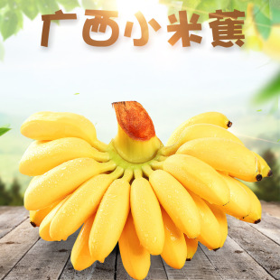 Spot Guangxi Xiaomi Banana 8/9 приготовленные свежие фрукты 1/9 кот сезонных сладких бананов Желтая кожа банан