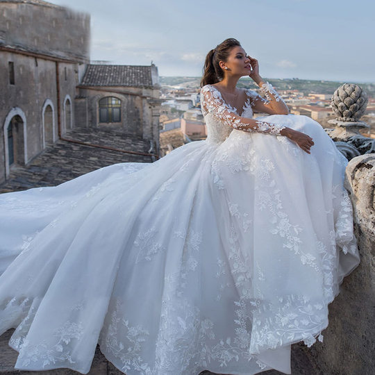 Cross-border Wedding Dress V-neck European and American Foreign Trade 2024 New Large Trailing Wedding Dress Retro Sexy Tulle Long Sleeve Wedding Dress