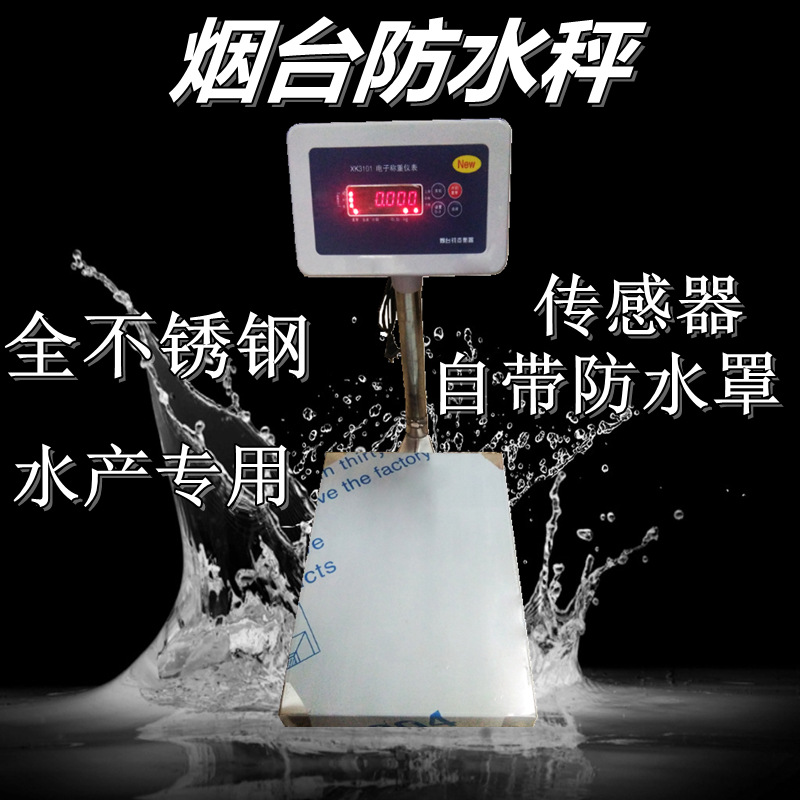 烟台钧杰XK-3101防水台秤 水产专用秤 海鲜防水全不锈钢台秤