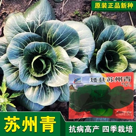 蔬菜种子;其他农业