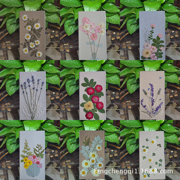 우표 진짜 꽃 에스코트 사진 앨범 명승지 베스트셀러 에스코트 꽃 선물 말린 꽃 기념 사진 앨범 관광 명소 머리카락 한 세대