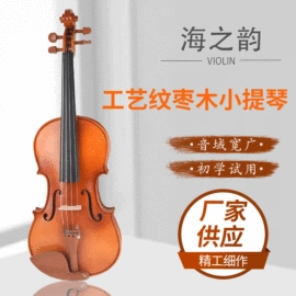 乐器配件;拉弦类乐器;其他