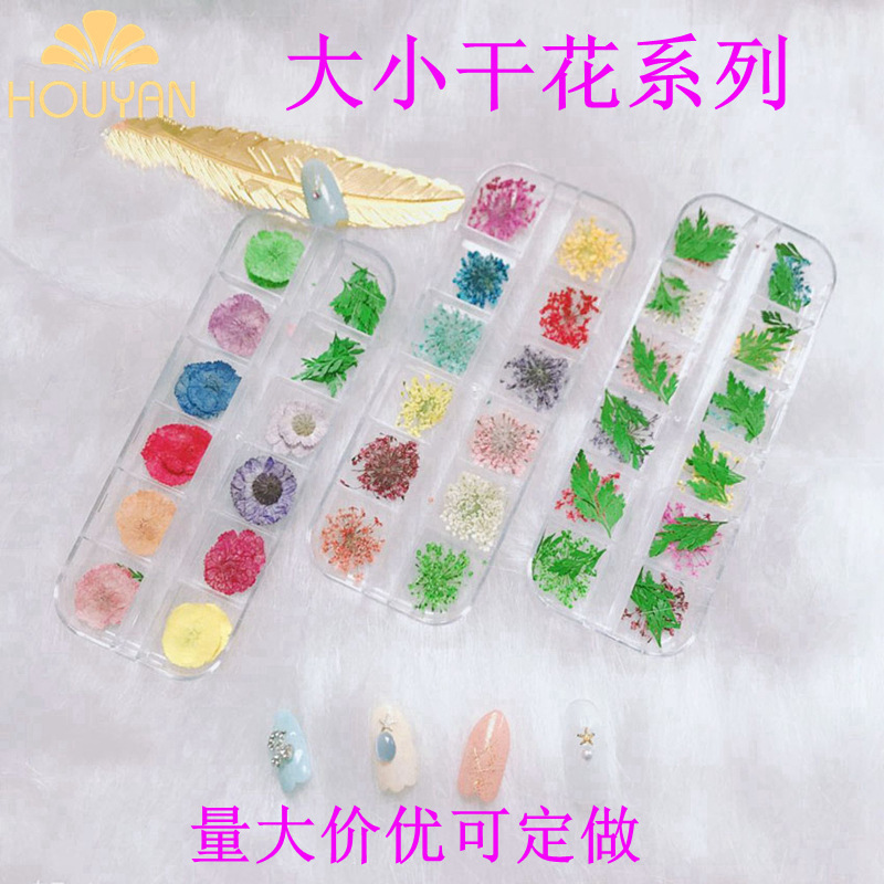 Nail size dried flower series set Gypsophila 12 color small Daisy green leaf evergreen tree three-dimensional plant daffodils Nail size dried flower series set Gypsophila 12 color small Daisy green leaf evergreen tree three-dimensional plant daffodils