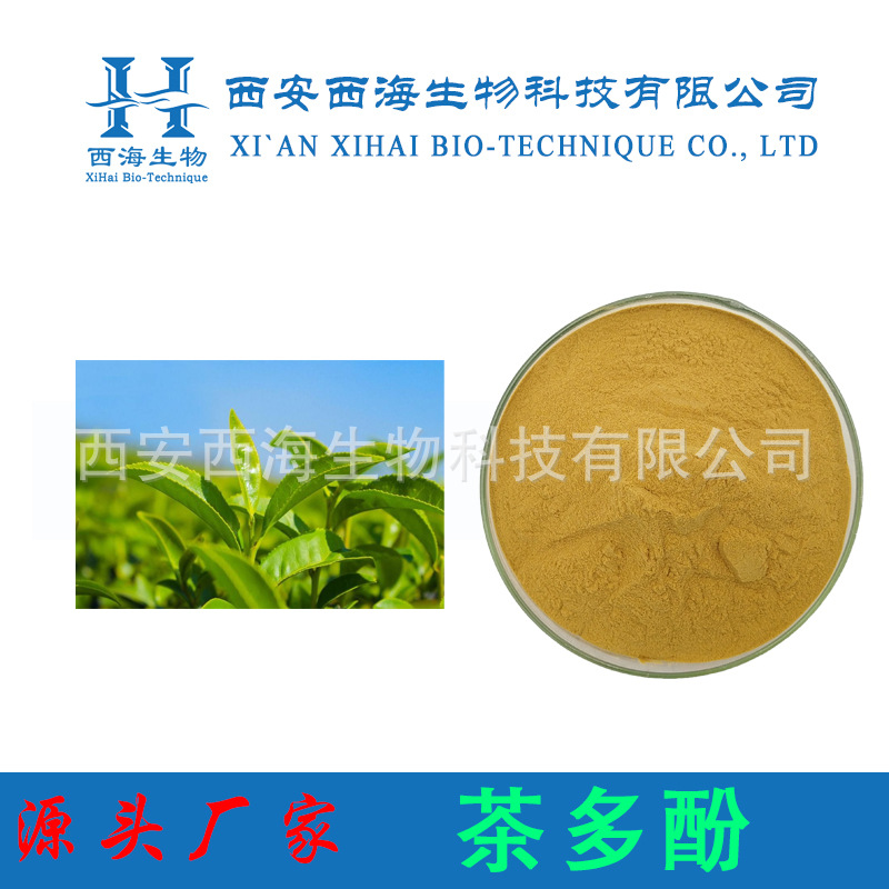 茶多酚50% 绿茶提取物 速溶绿茶粉 专业供应绿茶系列厂家直供现货