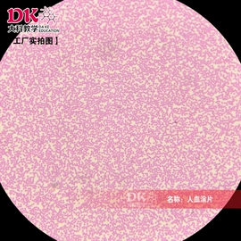 生物教学器材;教学仪器;实验室仪器