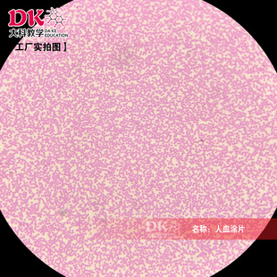 ��ƽ̌W ��Ѫ�TƬ ������Ƭ�M���W�c��̥�W ��С�W�@΢�R��Ƭ