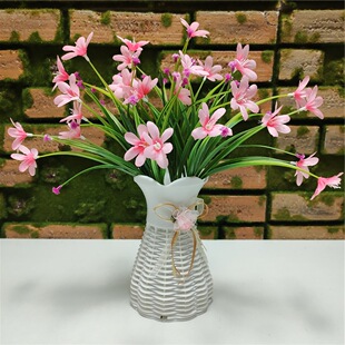 7�28�^�m���ݷ��滨 ��c�����[�Ž�������ˮ�ݴ��ݲ���ֲ��ٻ�