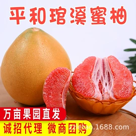 苹果;其他水果;柚