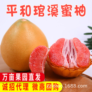 �t������������^�t�����t��Ϫ�gϪ�t���ֶY�������֏S�Ҵ��l���l