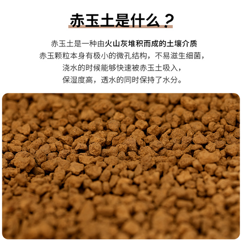 Reptile pet red jade earth bedding material eyelash-horned lizard blue-tongued gecko horned frog reptile breeding box bedding moisturizing substrate