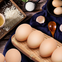 10-50枚40g单枚河南特产我老家初生土鸡蛋 农家散养初生蛋土鸡蛋