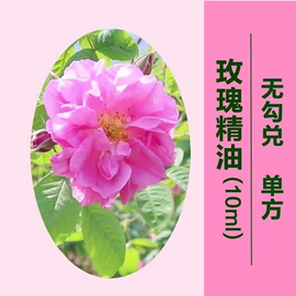 植物香料;工业植物提取