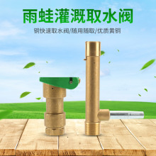 1寸黄铜快速取水阀取水杆绿化取水器取水栓1寸取水杆DN25