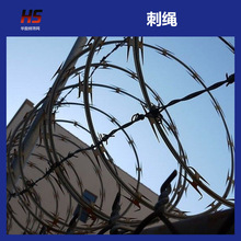 【厂家批发】带刺铁丝 刺绳 刀片刺网 滚笼防爬刺网 量大从优