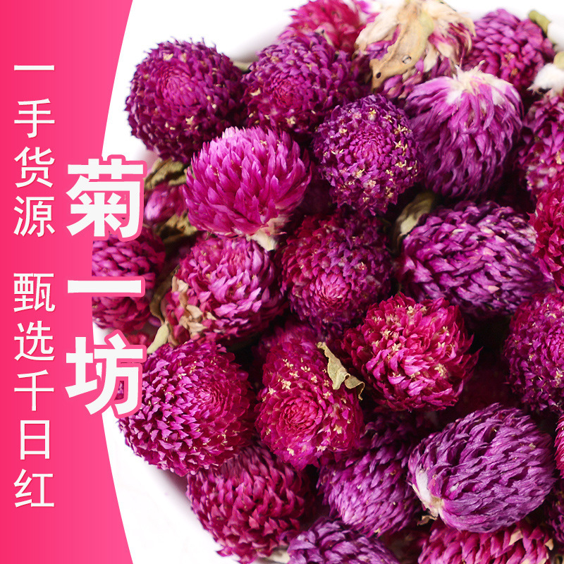 Wholesale New Bulk 500g Yunnan Thousand Days Purple Flowers from the Manufacturer of Thousand Days Red Flowers, Accepting Large Quantities of Dried Thousand Days Red Flower Heads Wholesale New Bulk 500g Yunnan Thousand Days Purple Flowers from the Manufacturer of Thousand Days Red Flowers, Accepting Large Quantities of Dried Thousand Days Red Flower Heads