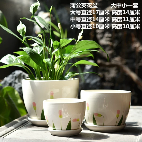 3 dandelion flower pots