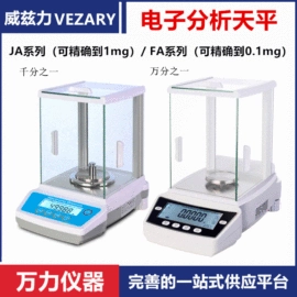 恒温试验设备;其他仪器仪表;天平仪器