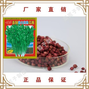 �����N�I ̩�x��ܾ���ļ�����ͳ�̦ ���ش�����������500����