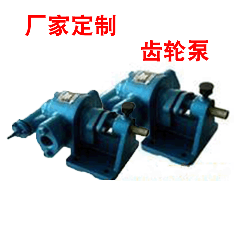 厂家供应 齿轮油泵 石油化工泵  多规格 批发