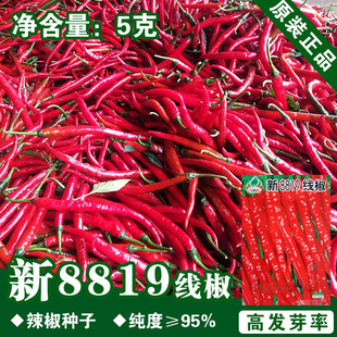 �����N�������Ѽt�����N���߲˷N�����l�˷N���ѷN�ӹ�˾