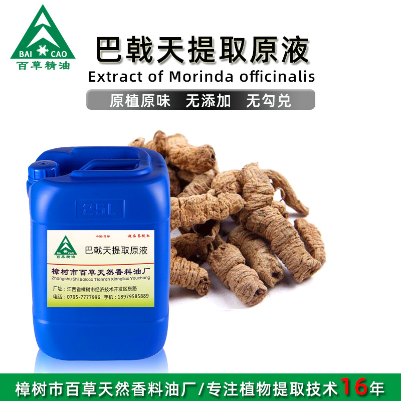 厂家批发 巴戟天提取液 萃取原液 植物提取液 原植原味 按摩液