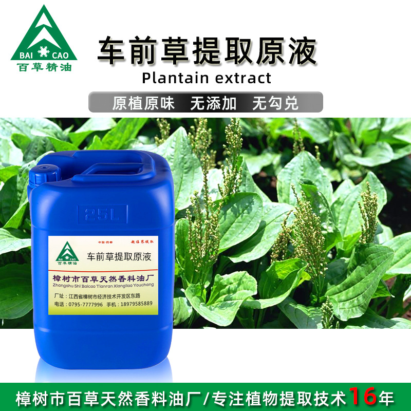 厂家批发 车前草提取液 萃取原液 植物提取液 原植原味 按摩液