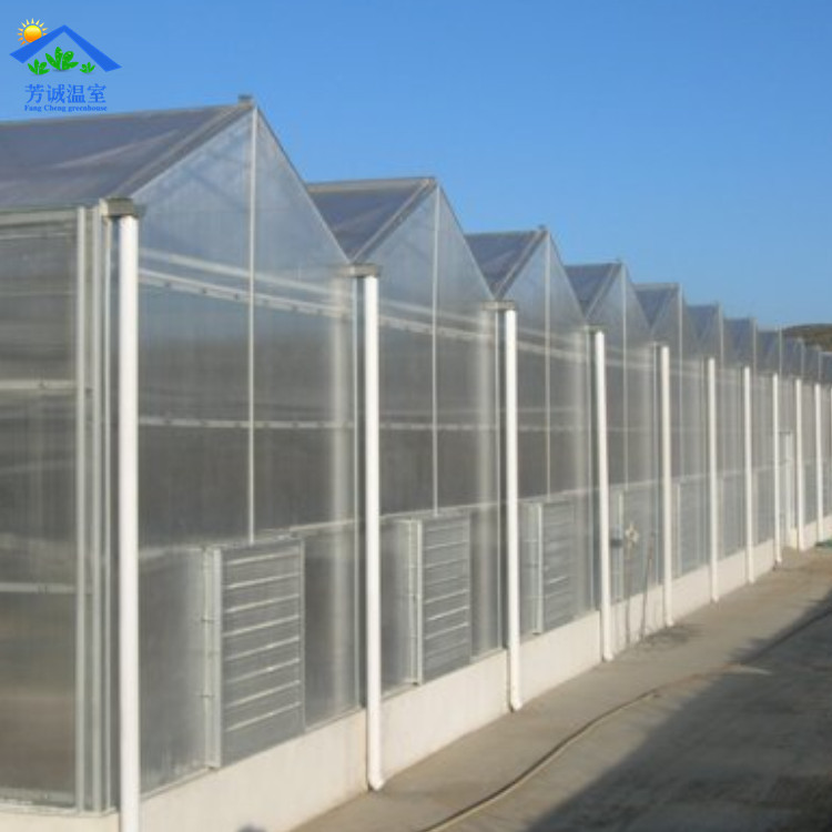 厂家供应智能化阳光板温室实验温室大棚设计经久耐用