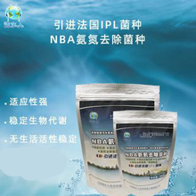 �F؛  ���������N ΢������N  ������ζ�Σ£�����ȥ������