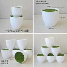 ���l�̨�h�������蹩���̨�����ӈA��ֲ�ﻨ��Ӻ��b�ֲ�ﻨ��