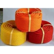 ɽ�|̩�����������K��_�S���������������K��_�����K�����x�ܘI