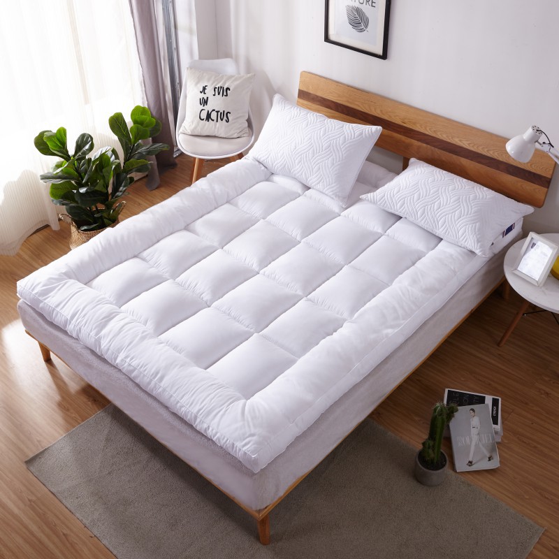 Mattress Feather Velvet Three-Dimensional Student Mattress Dormitory Single and Double Bed Mattress Tatami Wholesale Bed Breathable